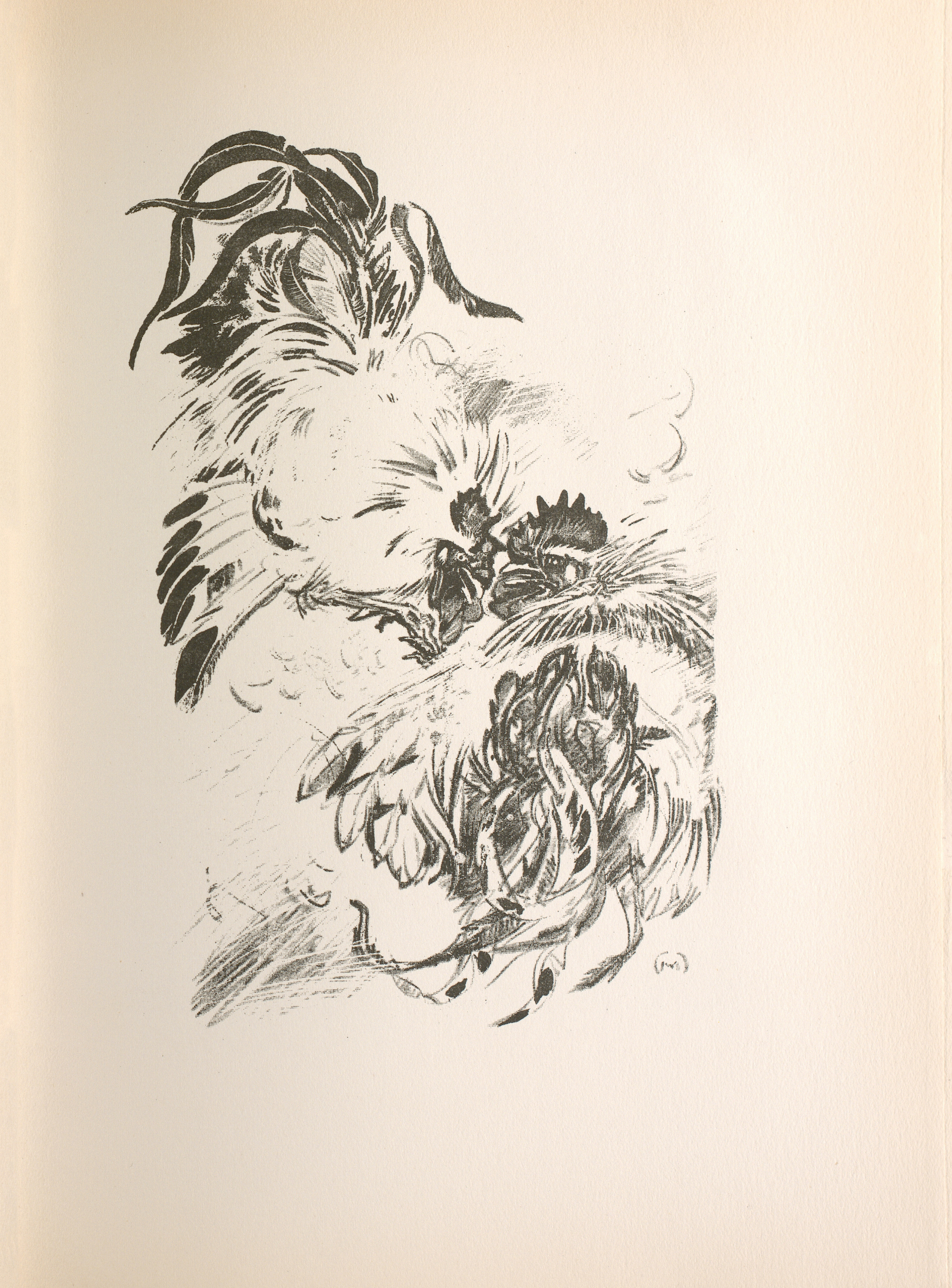The large black-and-white image is in portrait orientation, printed directly on the center of the page. Dark curved lines convey a moving scene in which two birds are fighting. The two birds are not distinctly depicted, but appear in a swirl of feathers. The foremost rooster has its back to the viewer, and the topmost rooster faces the viewer. The heads and beaks of the two fighting birds meet in the center of the image. The artist’s monogram, an encircled “M,” appears in the bottom right corner of the image.