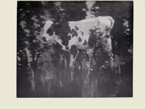 Image is of a spotted calf It is standing and shown in 3 4 face with its head on the left side of the image The calfs gaze is looking toward its left it has its tail is in mid motion It is standing in grass with a body of water in the background The calf is in the middle of the image taking up approximately half of the image The image is horizontally displayed