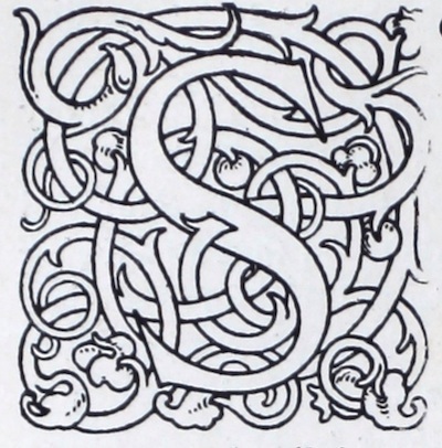 The square shape around the seriffed letter S is formed out of interlacing ribbons with terminal foliation of acanthus leaves and pomegranate buds. The decoration is created in thin black lines, leaving the letters, vines, and leaves white. It appears to be a wood engraving.